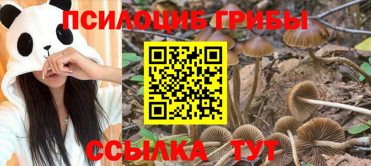 Нижний Новгород  Галлюциногенные грибы мицелий  Вход с VPN 
